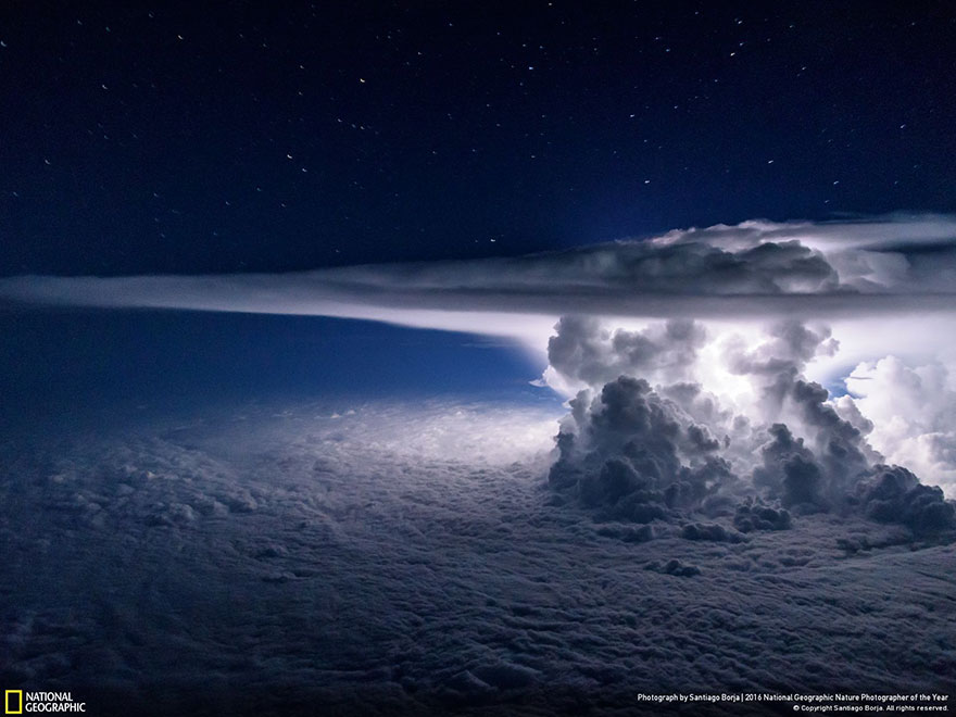 2016-national-geographic-nature-photographer-of-the-year-winners-7-584fb79237be3__880