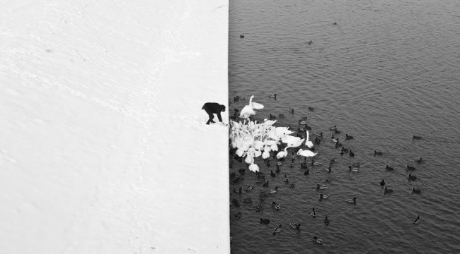 118955-winter-contrast-in-krakow-poland-black-and-white-650-db081cea8e-1484549668