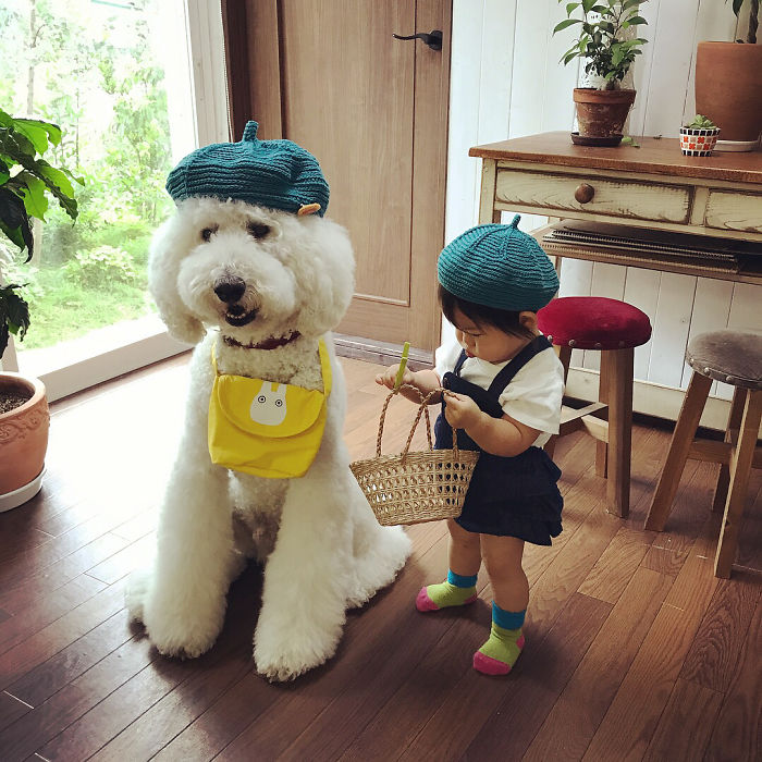 girl-poodle-dog-friendship-mame-riku-japan-29-59819e1e4c23e__700