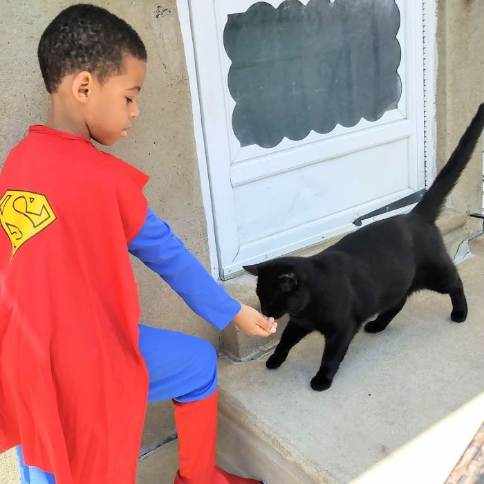 little-boy-superhero-costumes-street-cats-kolony-kats-15-59ed918739560__700
