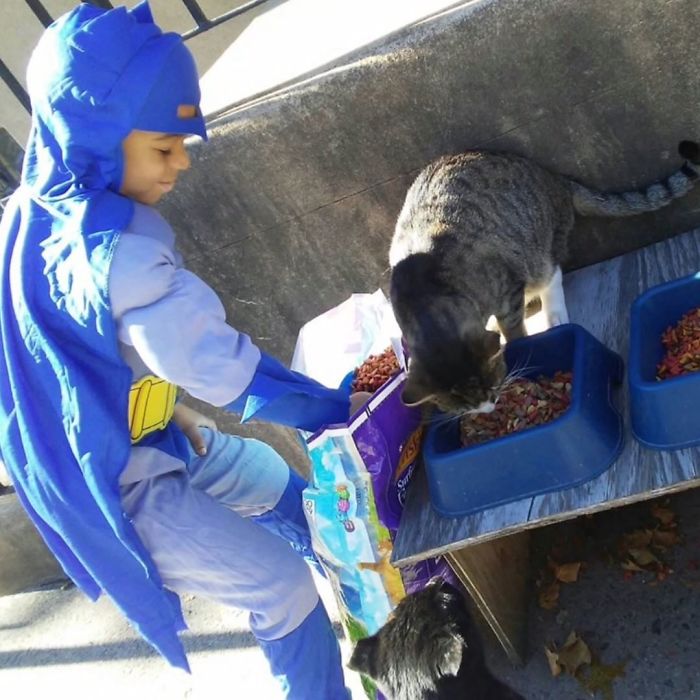 little-boy-superhero-costumes-street-cats-kolony-kats-18-59ed918d461f9__700