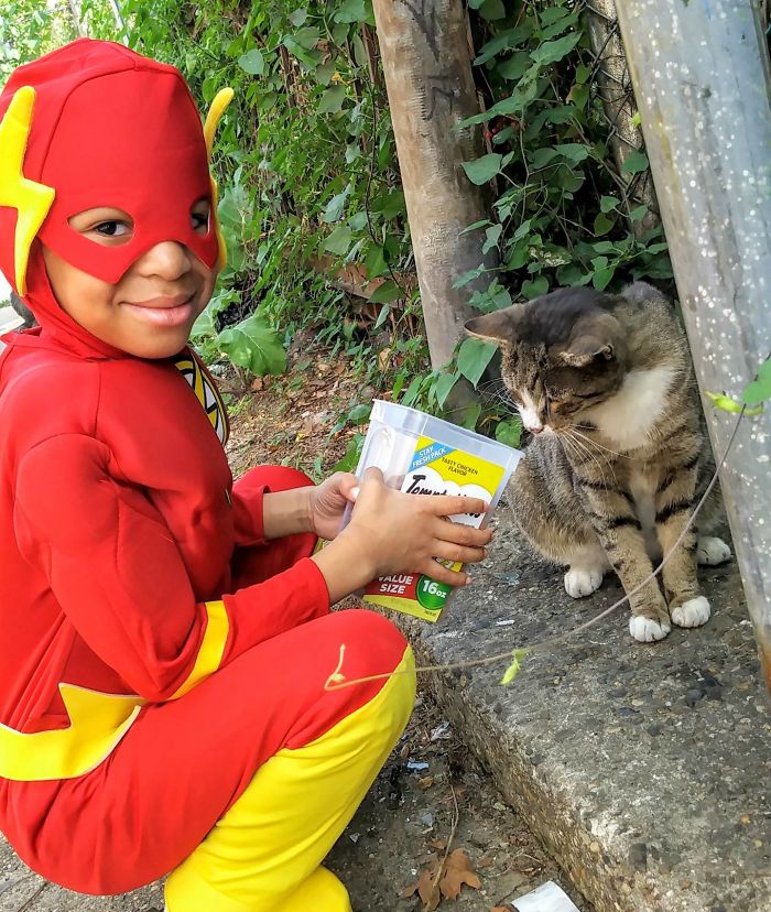 little-boy-superhero-costumes-street-cats-kolony-kats-30-59ed9157b8847__700
