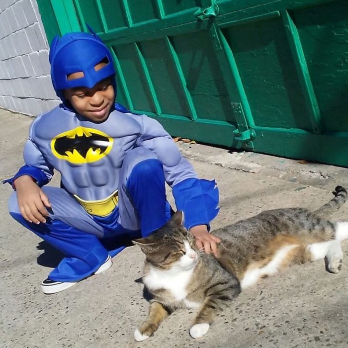little-boy-superhero-costumes-street-cats-kolony-kats-9-59ed916e7cfb0__700