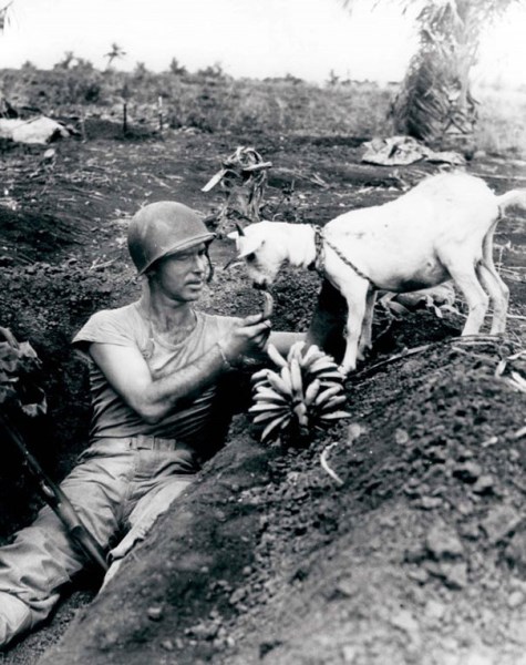 Vojak sa delí o banán s kozou počas vojny v Saipane, 1944