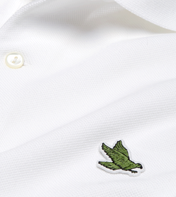 lacoste-changes-logo-to-save-threatened-species-5a9760306b29f__700