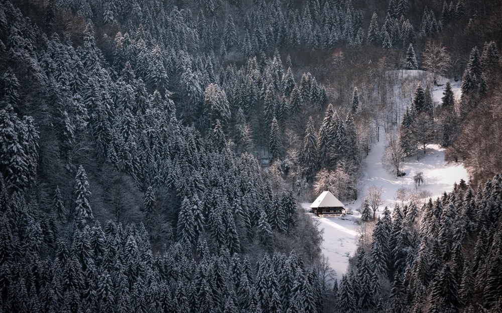192455-1000-1453467195-snowy-black-forest-winter-wallpaper-2560x1600