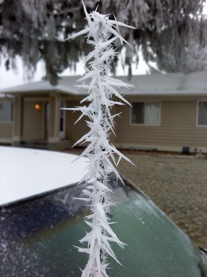 frozen-car-art-winter-frost-17-5880905dc9503__700