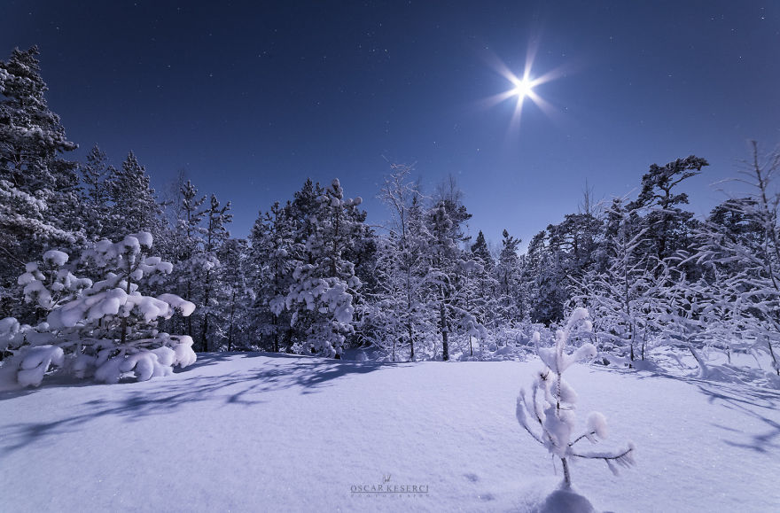 winter-moonlight-kirkkonummi-2-1-586c460025bd8__880