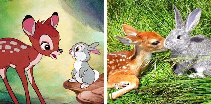 bambi-a-maly-zajacik
