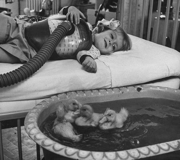 Moment, kedy boli zvieratá prvýkrát použité pri terapii, 1956